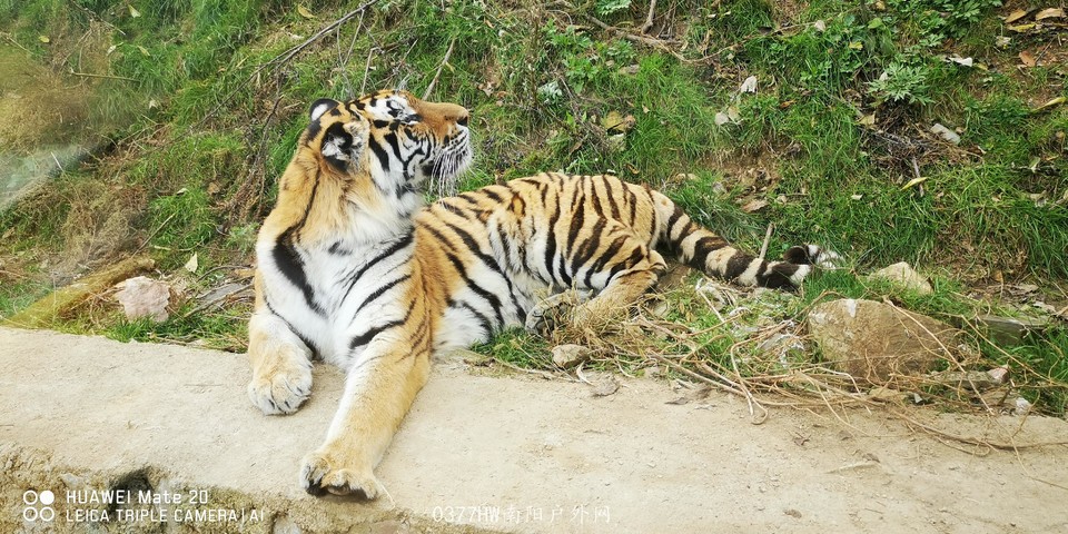 z1UqdJLOFFpW4PAESvf3aPf3wDXDsjLhj9mPD_35Ba-gyzJPymMVIaf7jffQMPZ6