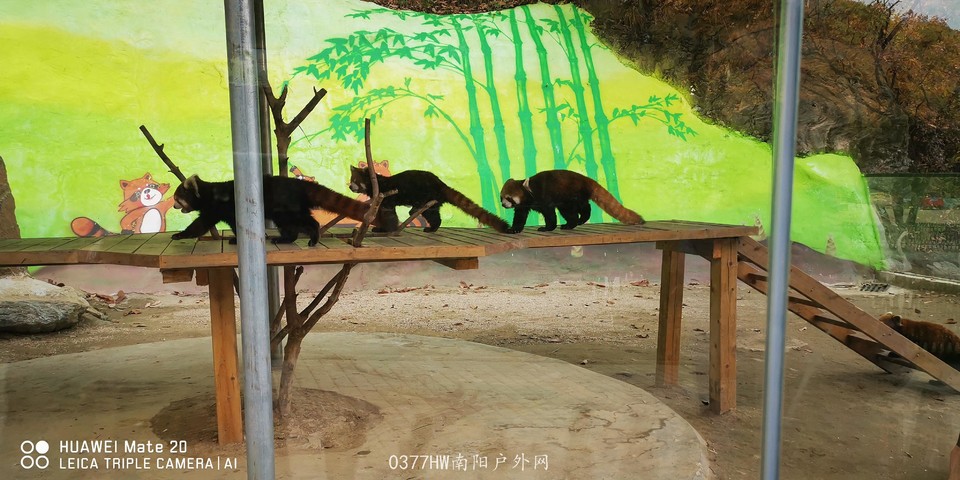 bRk66Aze41F1Km18vWrgnLSue5f14-3P-Cy0Sb54clzHTSONS6bokwUbVfNOlrNt