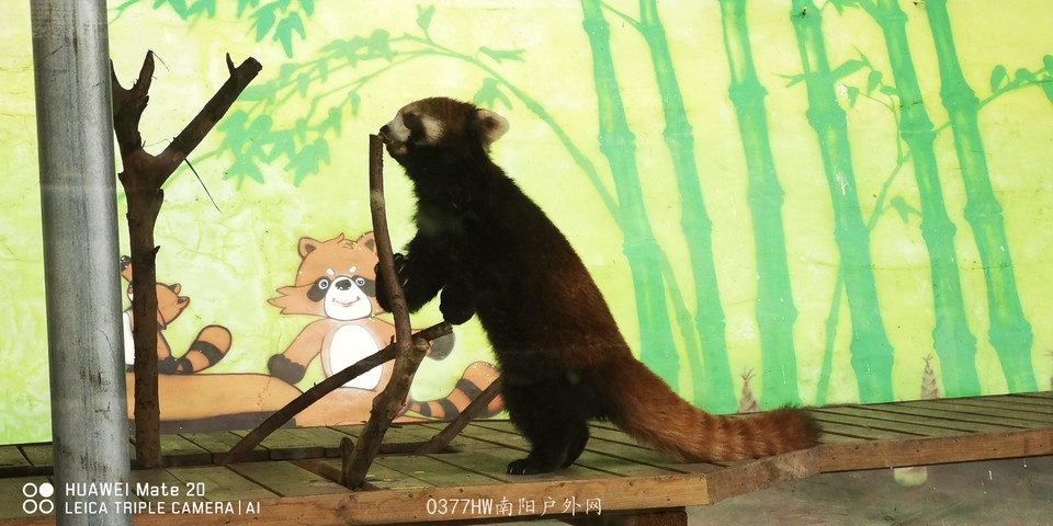 h154BQGbyTVMqNekT2GrWyBtYexW-qnwVpbCvHqw49zUlQPFjGWXK-6wcTICqGps