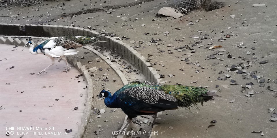 uXN1GviBAemXRPb3j-k-qRn1ldBsXKB33YkSKyaDBcEaEMBoYuxzwTf9k-u8elVI