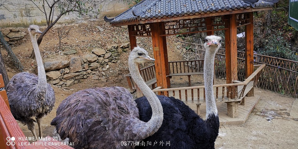 Z74mfx0O4x6m9O3otsLjg6jdLx3gzhp5OCWMq8sQOsBq__06IgQQb3X-iSzWJMJf