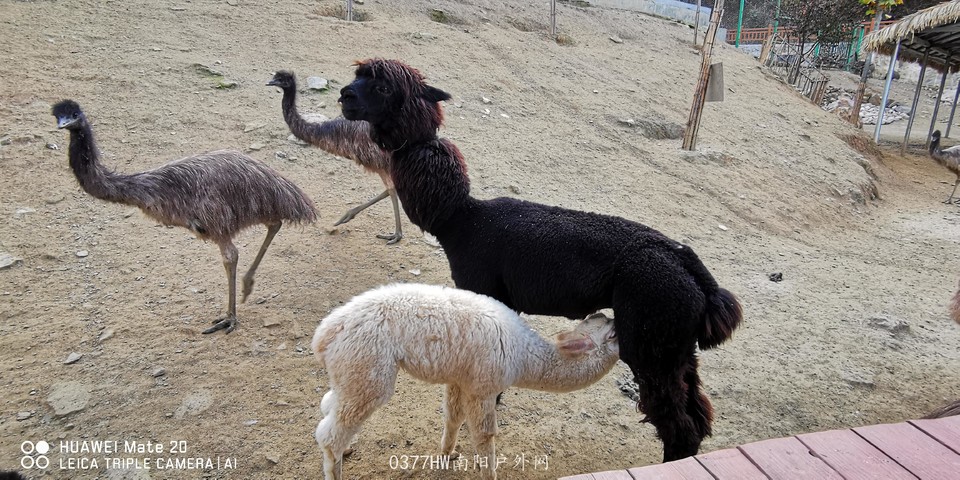 BhyvZZn8Tpp7M2P0BACHNDnFb-hhISxzAM0Ipj3yF_YjSsuERyv2Y-znUYpRJjdz