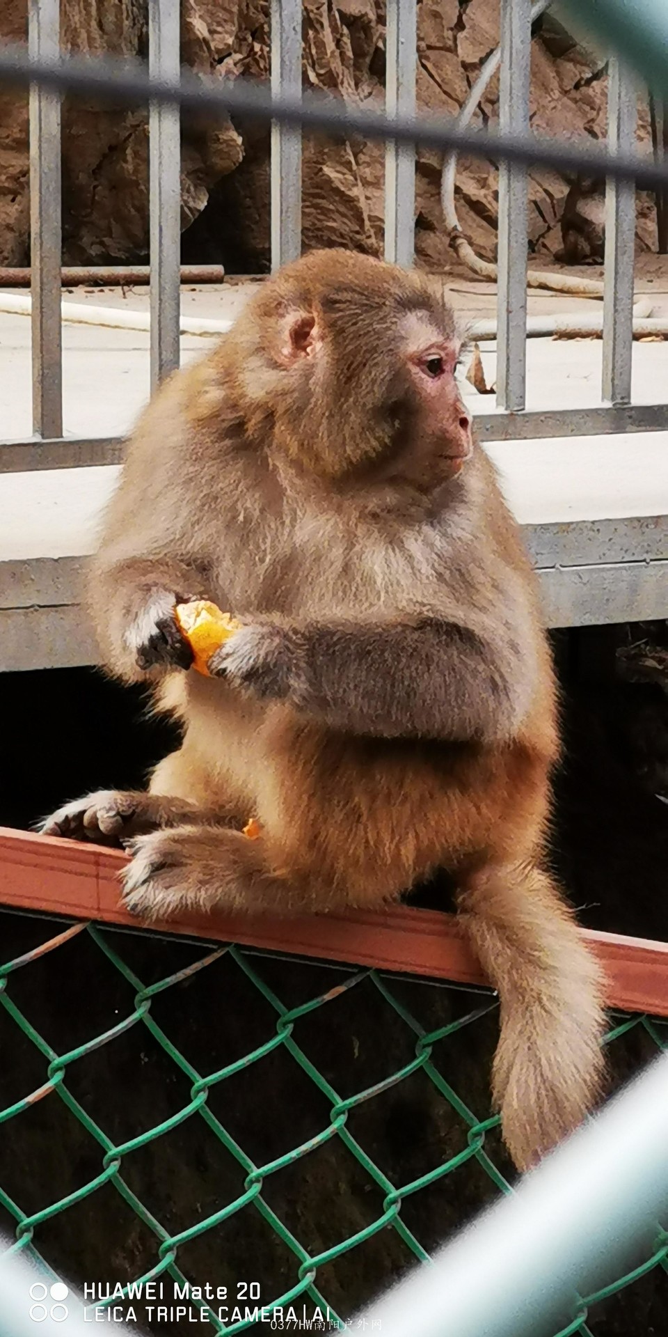 KNWc7ThqHPuSwSM-k9UWyKecTteN20Hm0h_x96101laWyETvOO9NzHbOZyBVR-KV