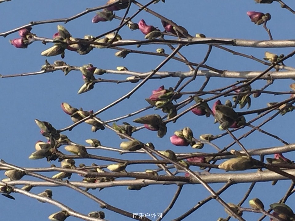 7750C743-4F5B-4960-AFFE-8FACB45F1C91