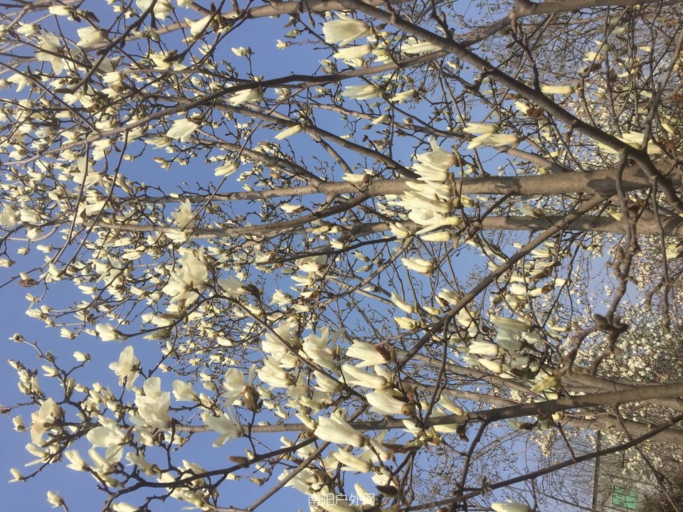 30EA6E99-0C65-4BA5-B7EF-39729E3396B4