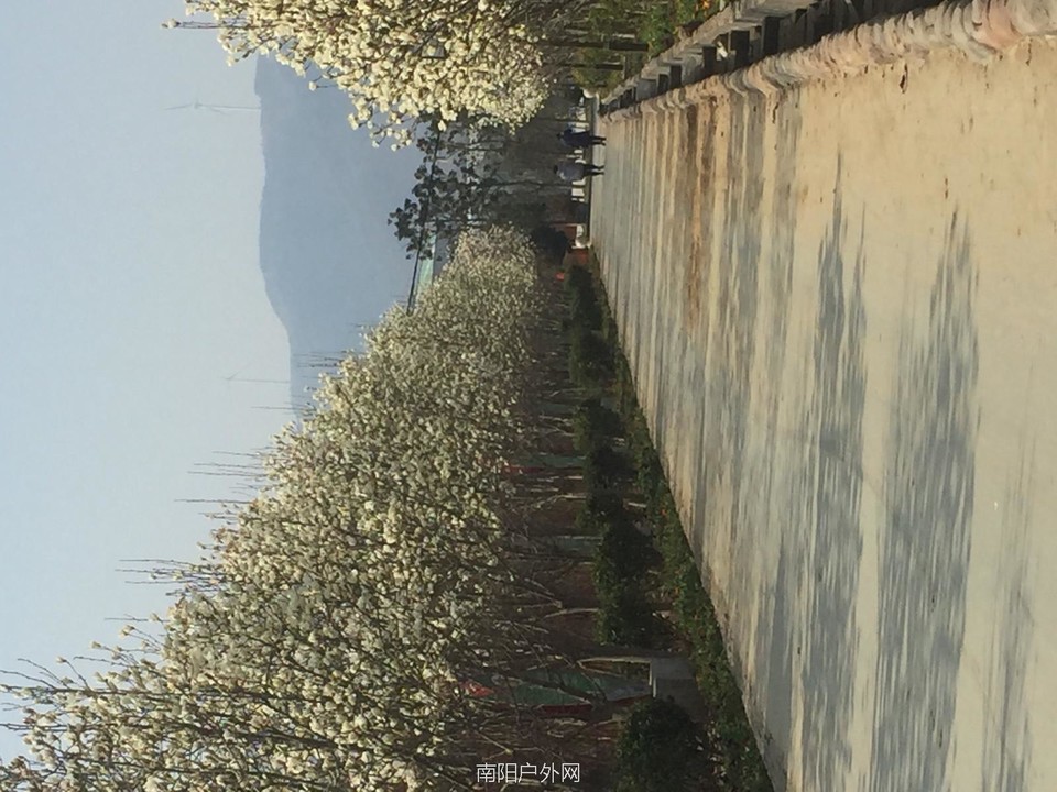 1C77E2BA-35F7-40C9-B4C2-E17C39D9E1A6