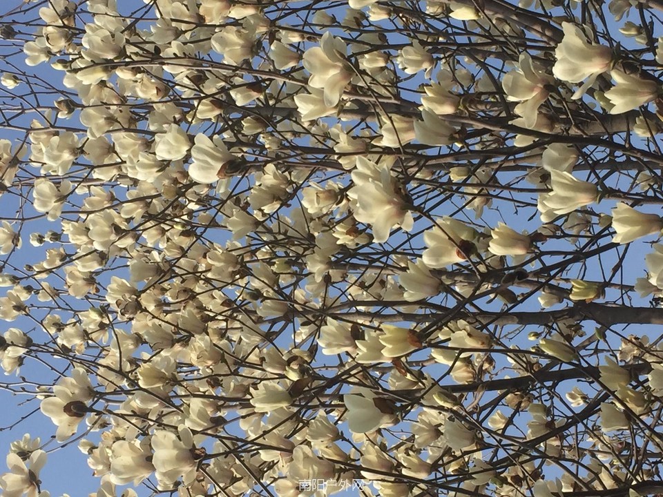 FFE8D872-667B-4252-8BE7-A64B76C02696