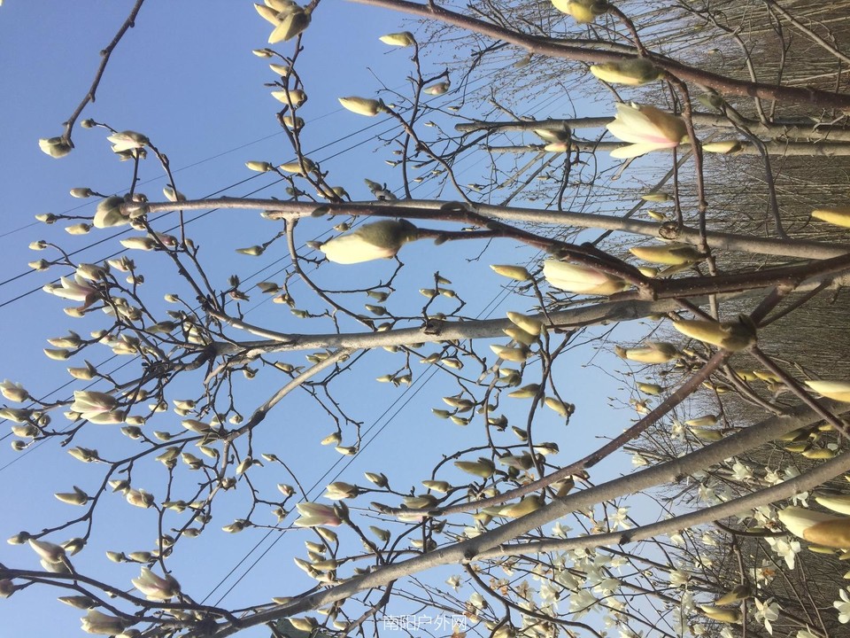 4DA720FB-7DC2-41E0-B62D-9086FDFD4252