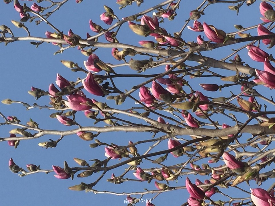 3792DCE1-CD9C-482B-8016-1F6BD0698C11