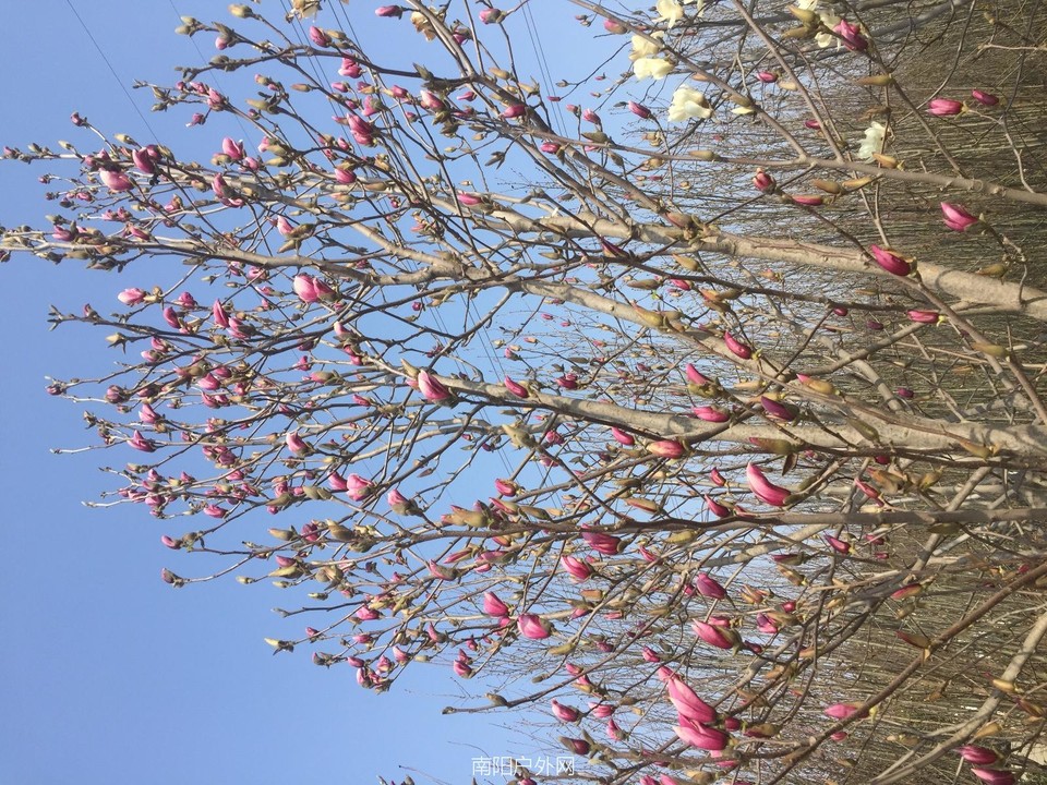 8359A852-81E0-4502-9D98-0C85E84D4638