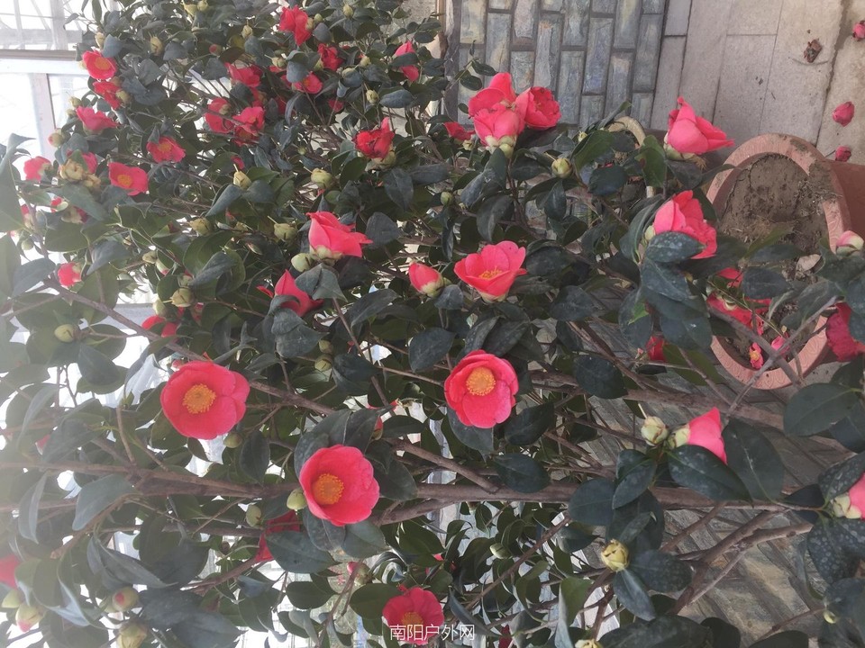 67D2D5C9-F5AE-466C-AE5D-C638E80BFDB0