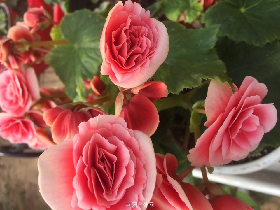 774F1C73-7421-4E85-ABC6-229E39B7ABD8