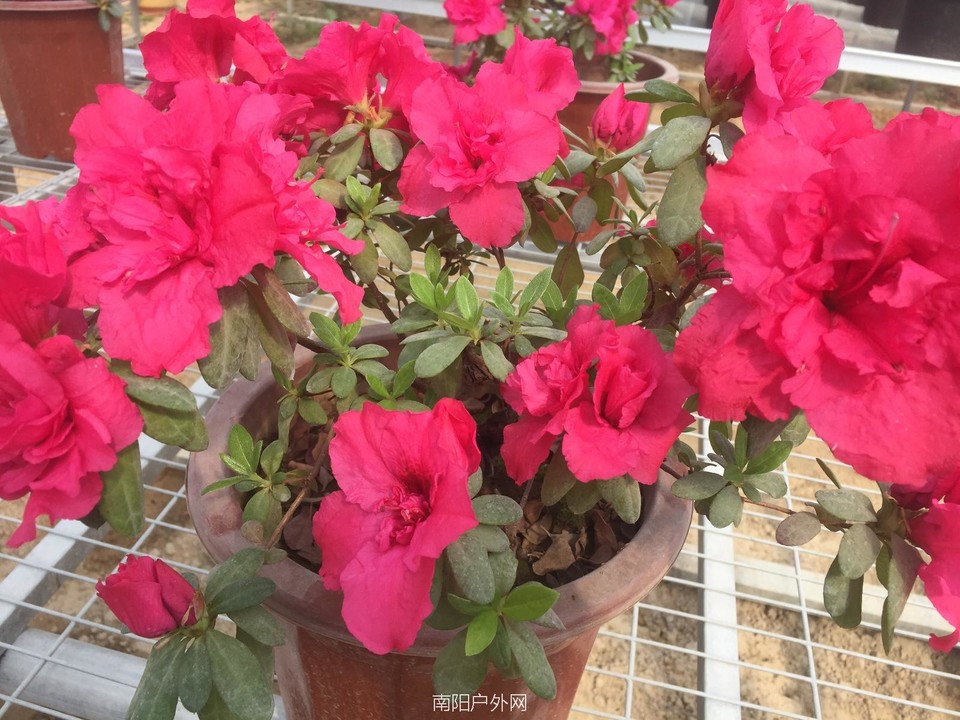 E8F0EB20-80E6-4A12-9512-BAD36DB647D1