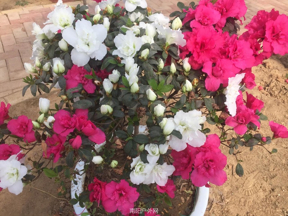 C49C1204-8B5B-415D-92B9-21384083AAF2