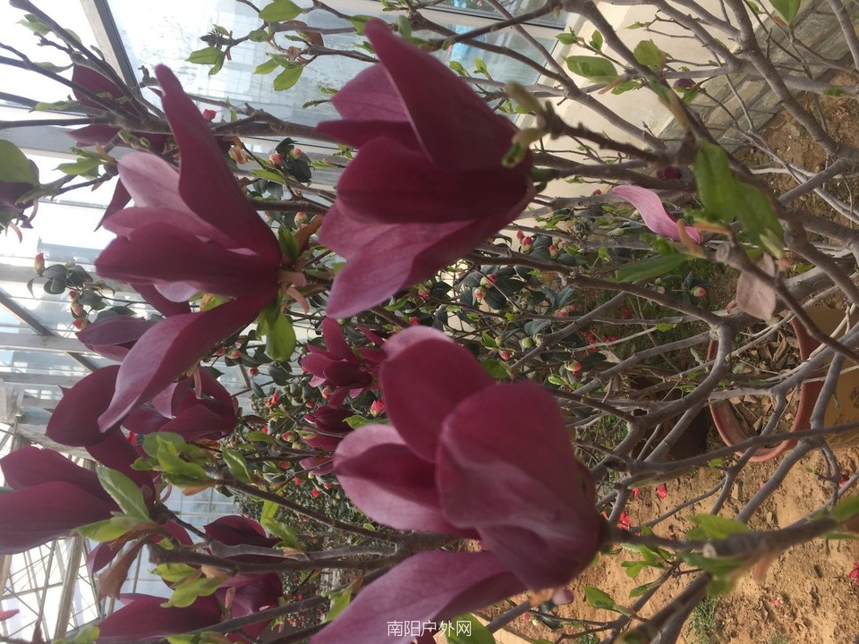 E84B9E82-D9BE-436A-A650-4AF6AB406C31