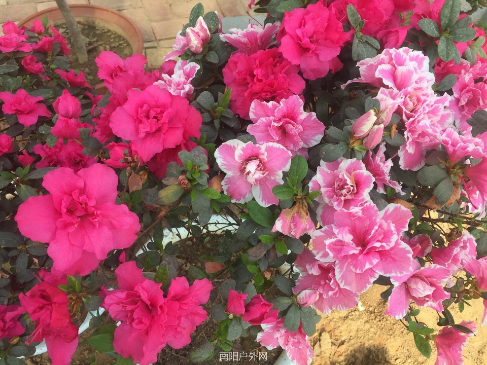 A577363C-6F7C-4AC6-8D07-2DFFB0C9E66D