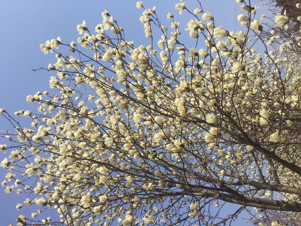 854BD41C-E489-42FE-AA67-9075F476A279