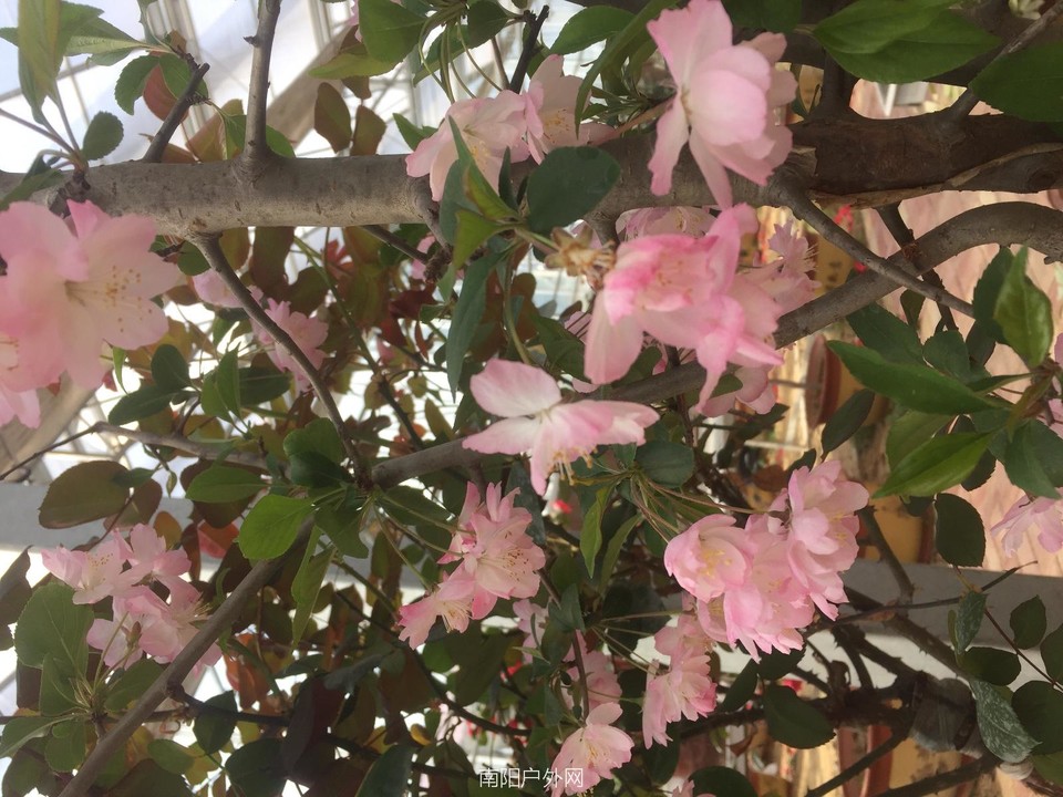 80A16FEF-E0D0-4FE0-BFBE-48E621387552