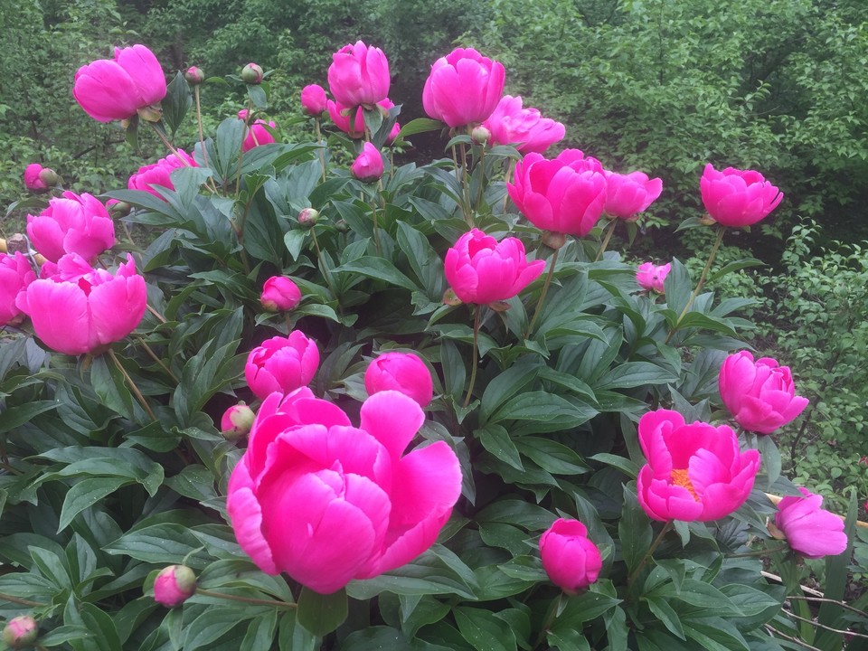 93C592A6-82E1-487C-B4F1-883E40D0A1BF