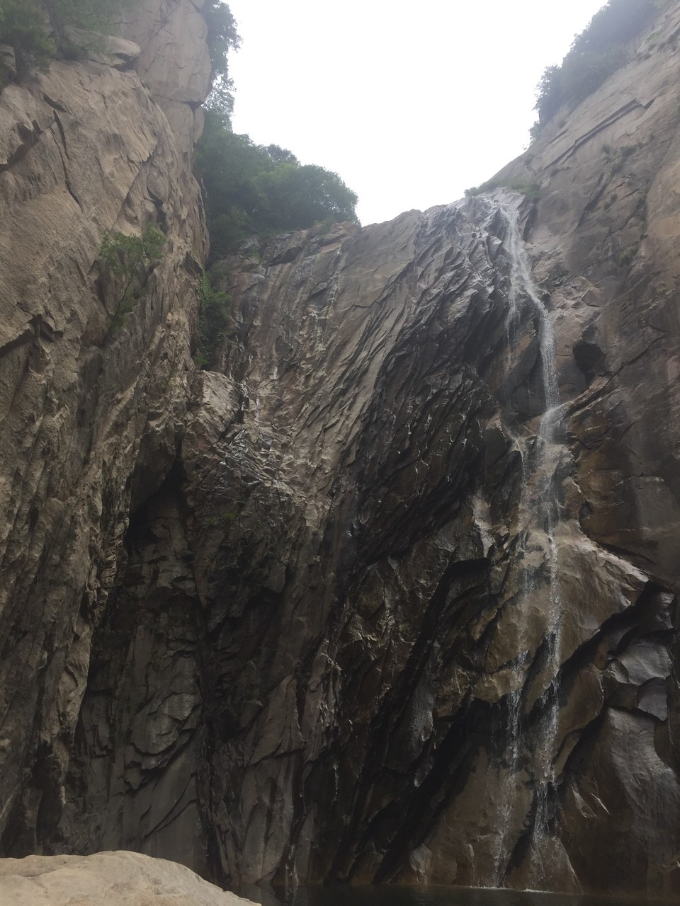 2D9A11ED-31C4-43CD-8204-383214B7C930