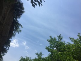 0081F4C7-7C7F-4CE4-9202-D486D8E00501