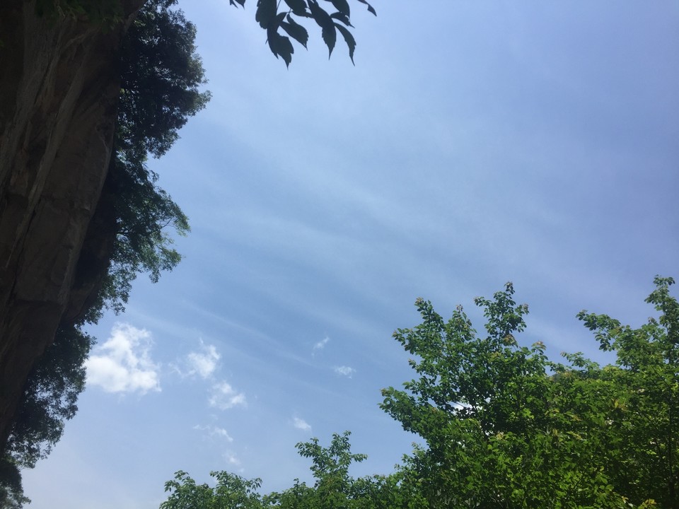 0081F4C7-7C7F-4CE4-9202-D486D8E00501