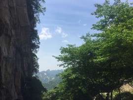 0889BD4B-0F02-4B15-872F-A0F8BE0F2F96