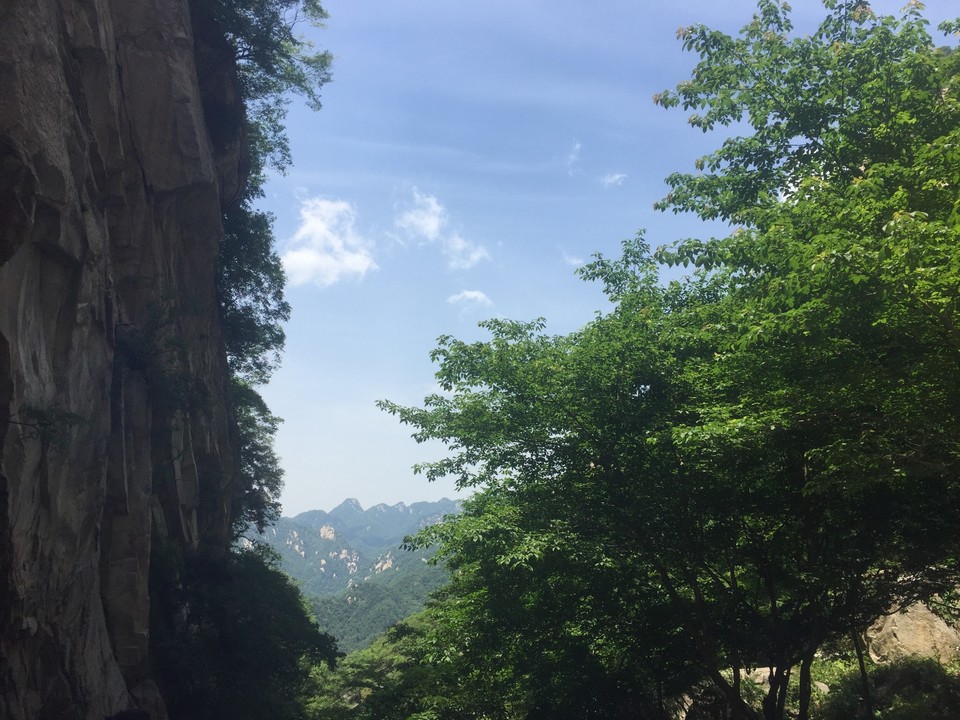 0889BD4B-0F02-4B15-872F-A0F8BE0F2F96