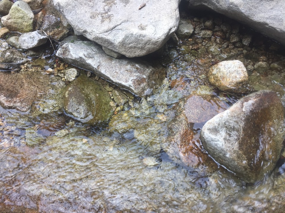 778DC510-372E-4395-BEA5-5AAC23132292