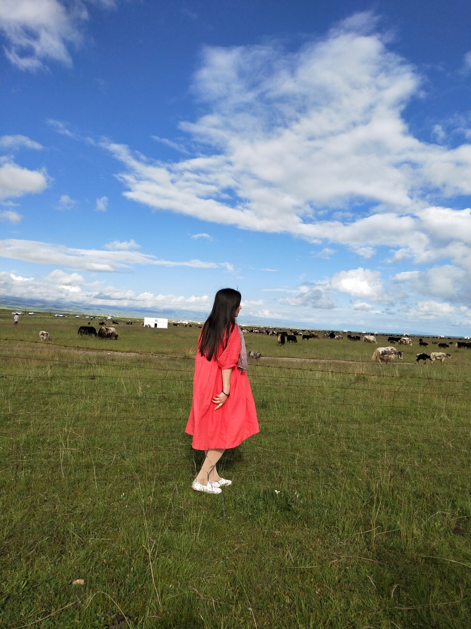 Eg_wDX9PIyIGOQqK6srEyvwPzEpSoSrh5o1kI5KVzjweUI7GNIJV5QG0qHXP2fvd