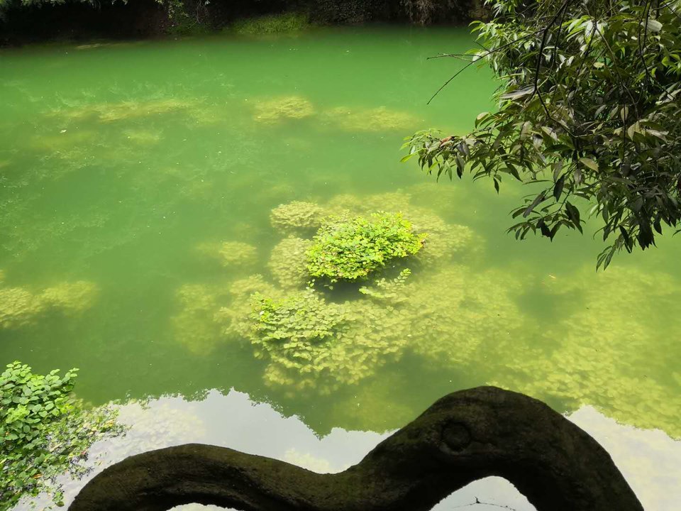 -F3dXXQhUEbhGYT7k9OGagkjvKN8DTdDp_S9sqV9xWRFZUYlpwm2nDNeQQtudKN_