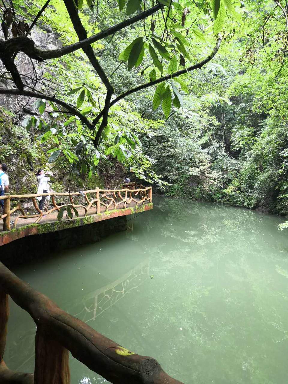 2O2KhdTuHguTvqjFYWnt0A0U6kvDfPrZFGBZsNyWo5ztLezh9xRW0cxq5oVtpu5F