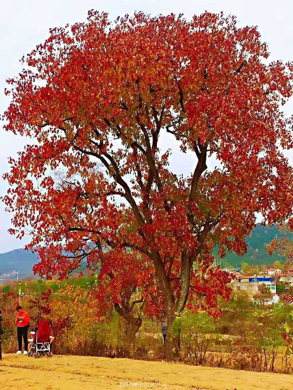 GgEHyLkjt9fb7d4Y552ZNJbHjyUSTiUqUNjKLcs-3Rve_USWO7Bsj1QEykQqRu7W