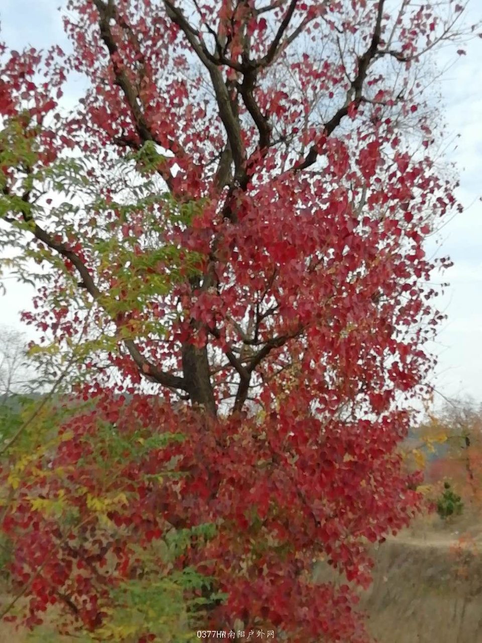 mK5G8ZqjHXLyyt7tdlXHAa8vkQCLN4C4JLFZ6klfXBKc1N7MdrRBbDXu_eT1n-jb