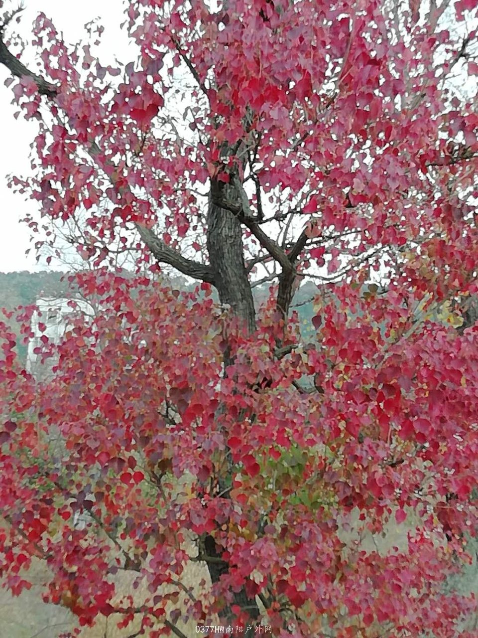 0jOzhtIdn8Zvpfa8lKAf9UZdhrSNRNePKr2Sssp8IcCXsiSmpWinKDq-lqlTwVhC