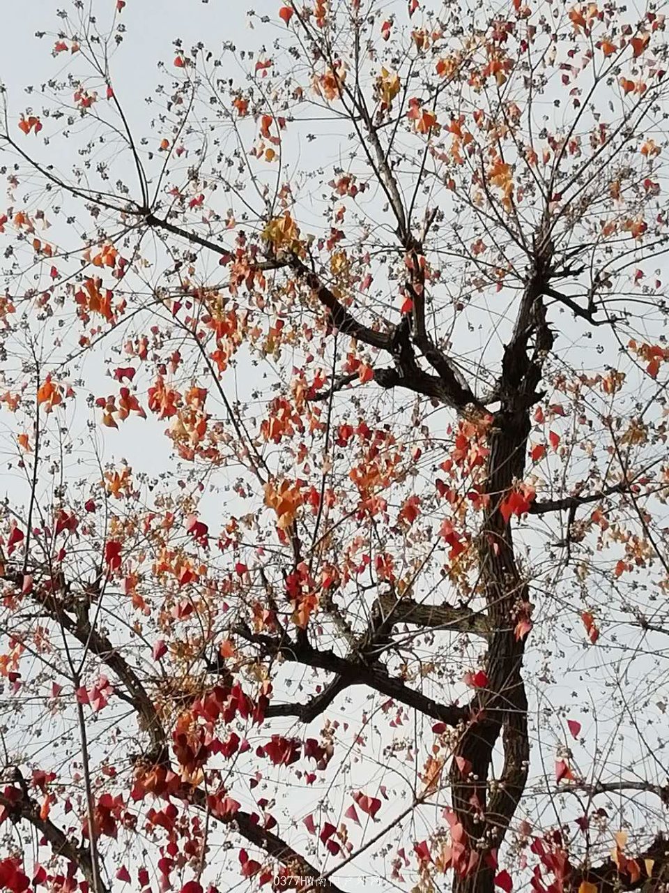 vGorEfygcUfwy0zGuoapTWA8S_B3bD7q38PtggdScm2MOPGRZPJCgh463nbplAos