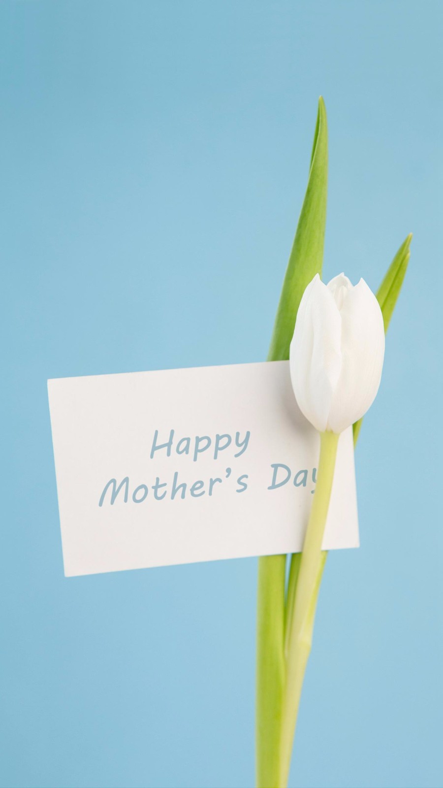 magazine-unlock-05-2.3.978-_8d345bad91474d198b0f84cb7f34b11c