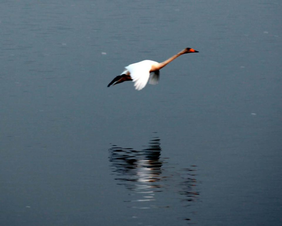 6Wf7zrvLllnoBIwRXkfAn1pakubrMsJAY9CVhkji1SmKIUDi4upTuBsFzfCrKe6x