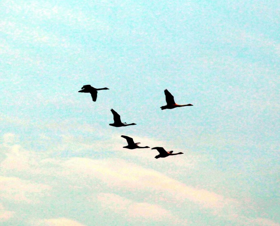 Pep4KU9C35a6qnE_tD3NezcX1CRWaRHzOpbh3Oj18dPiTS7raioD3dg8BEhaCBq9