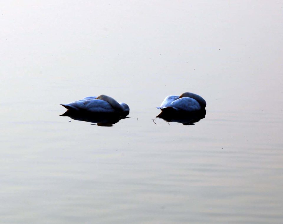 Hw4Ub3Qg1pwoMFcY5d_EDFpEEQs4MfjAuExV1oCwXsw60Oinv3lvlL1NofpyzUI-