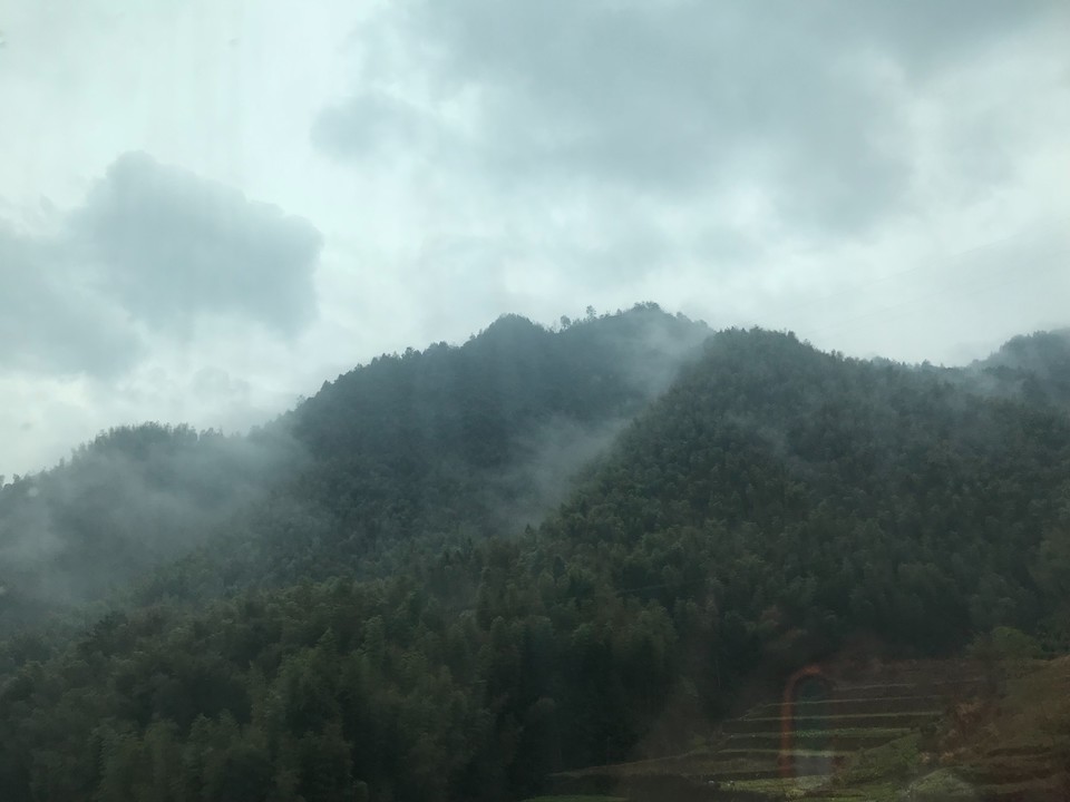 197FF40D-54B9-4A1A-BF3D-61AF192FE99D