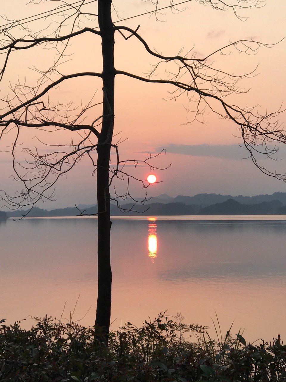 8B661FC2-88AA-4F00-AA1B-8782A3EF5147