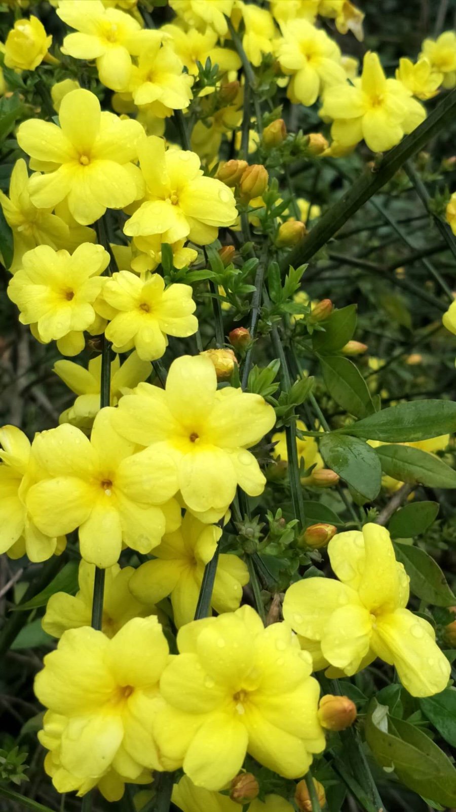 7B573A37-49C7-4141-86C0-48B65A8E4B86