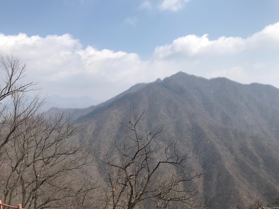 457250A5-7066-4260-B9BA-586A774CA69B