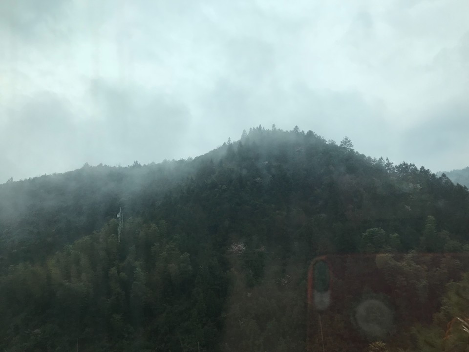 8C238233-22A4-4828-9F65-9A14F09C7EA6