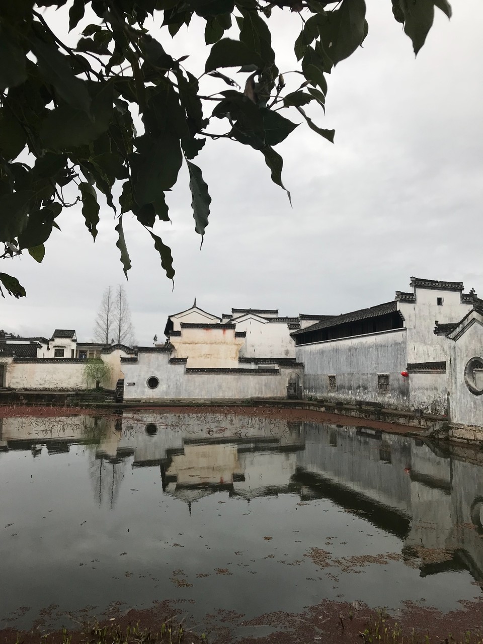 BDBCF5AD-C545-49C3-B3CC-6C8EE79BE311