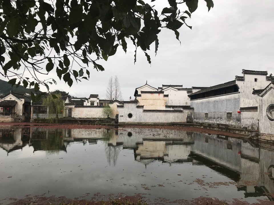 88A6524D-5224-43ED-A30F-457FC074E723