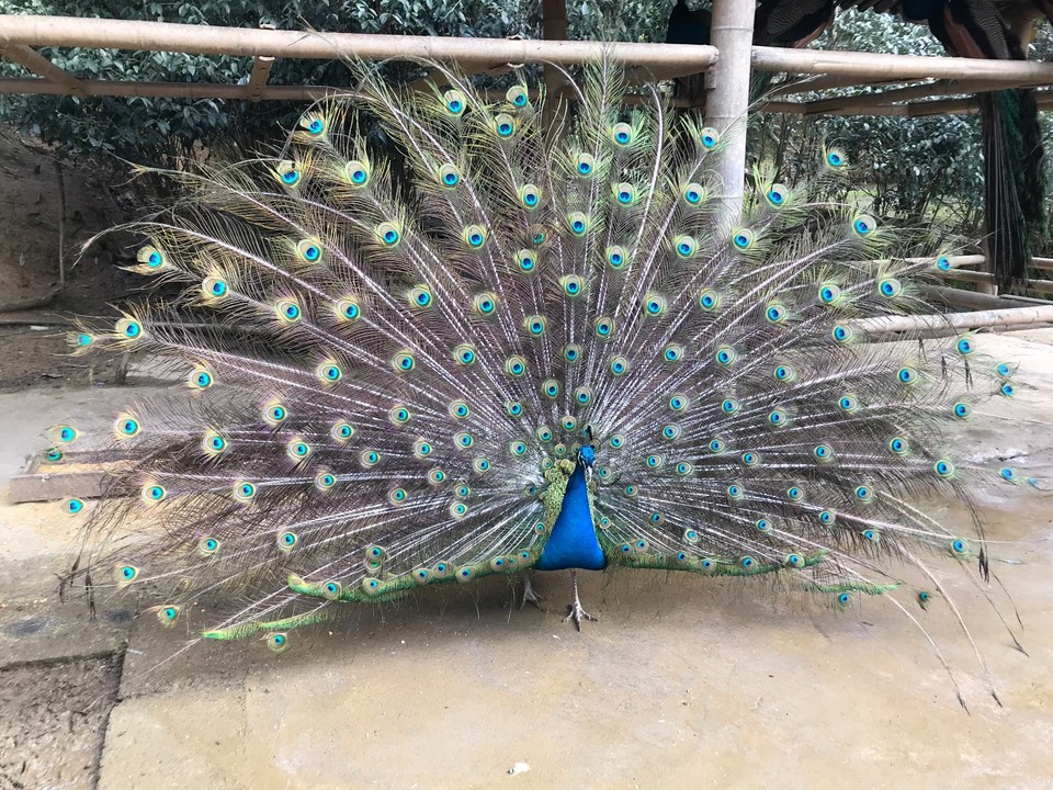 10A8A872-76E3-490A-9402-5528B1B50B05