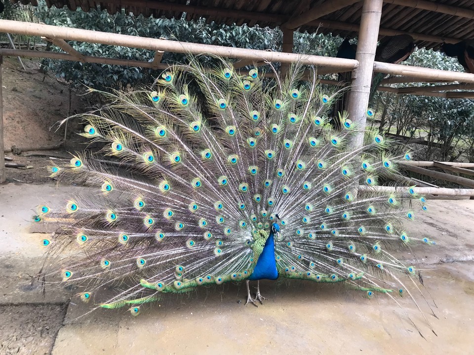 FDBD0040-5338-4755-AE5B-299987868F82