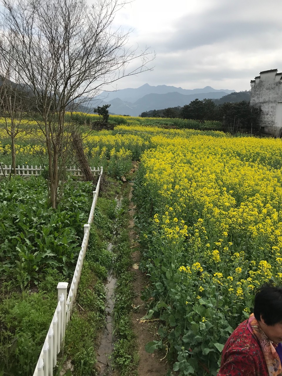 50853160-5B7A-4E40-A13D-2F576F221F33